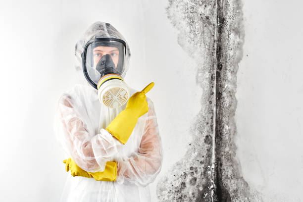 Best Commercial Mold Inspection  in USA